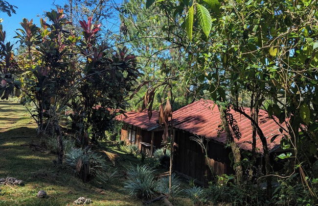 Campos de Oro Wilderness Lodge - Foto 30