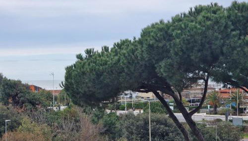 La casa del sole a 50 m dal mare - Foto 3