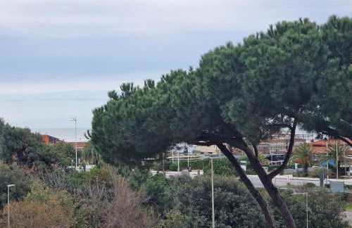 La casa del sole a 50 m dal mare - Foto 3