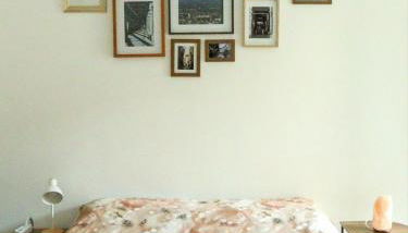 La tana di Pumba - Foto 2