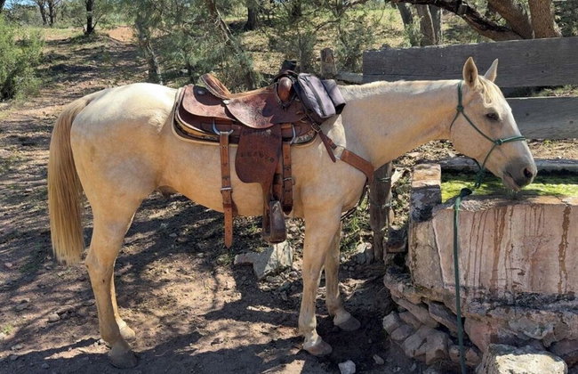 Double R Guest Ranch - Foto 22