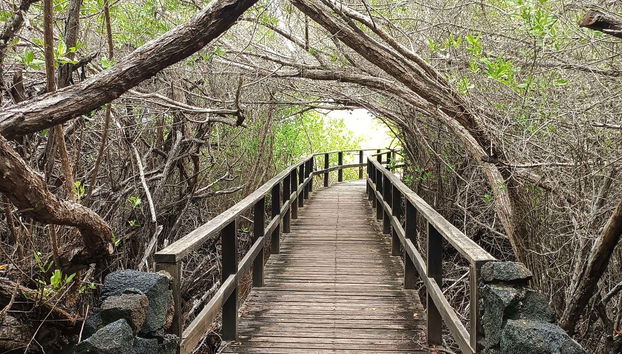 7-Day Tour of Isabela, Santa Cruz, & San Cristóbal Islands - Foto 2