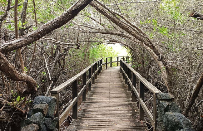 Tour de 7 días por las islas Isabela, Santa Cruz y San Cristóbal - Foto 2