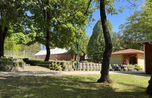 KiEZ Am Braunsteich Weißwasser - Foto 15