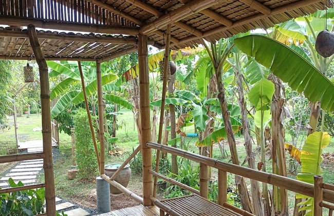 Bamboo Conservation Farm - Foto 35