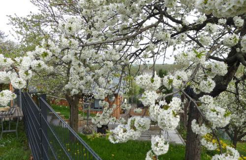 Holiday Home Teufelsmauerblick by Interhome - Foto 35