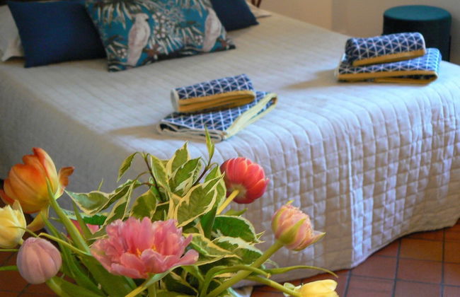 Appart'Louis Blanc Centre Ville - Foto 8