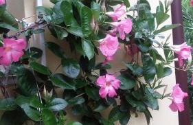 Casa Valenti - Foto 75