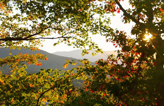 16 Village Run... 2 Bedroom Condo by RedAwning - Foto 1