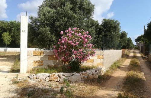 Trullo Alessandro e Villa Raffaela - Foto 116