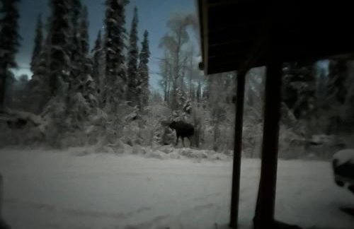 Northern Lights Getaway! - Foto 11