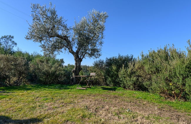 Laje da Bica Agroturismo - Foto 51