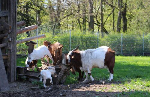 Döllelhof Erding - Foto 45