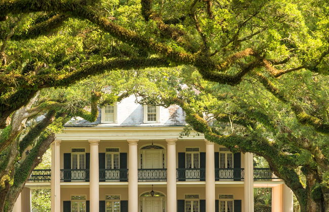 Excursión a la plantación Oak Alley - Foto 1