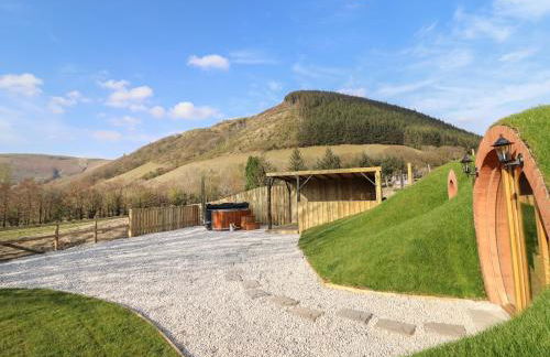 Nant yr Esgair - Foto 19
