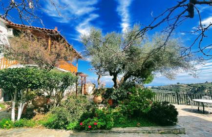 Peloponnese Hideout - White house with the sea view - Photo 59