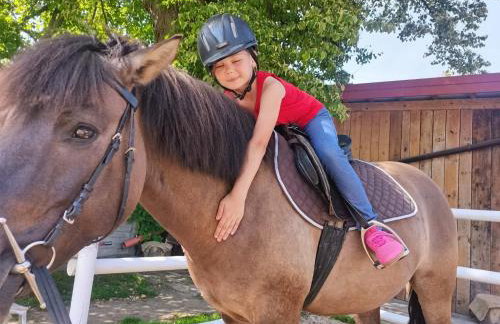 Ranczo Popowice - Foto 26