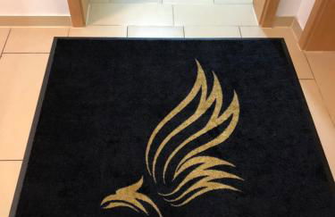 Sahara Falcon - Photo 92