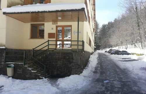 Apartamento Canfranc - Foto 41