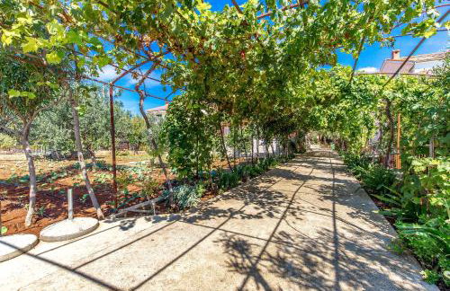 Apartments Ivan Sea View in Peaceful Lun - Photo 44