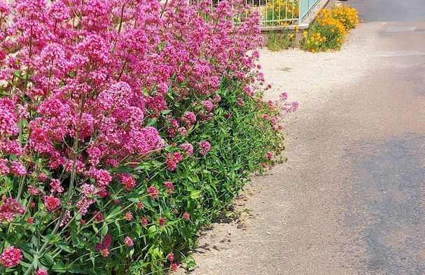 Gîte de La Pyranvôle - Foto 23