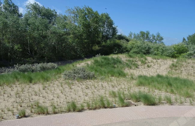 Apartment in Nieuwpoort Near the Beach - Photo 40