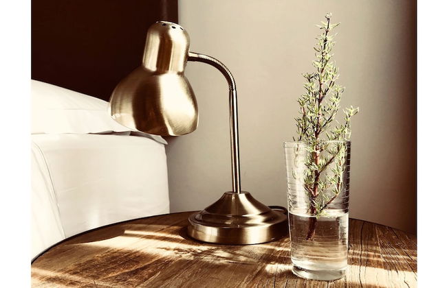 Purple House - Photo 2