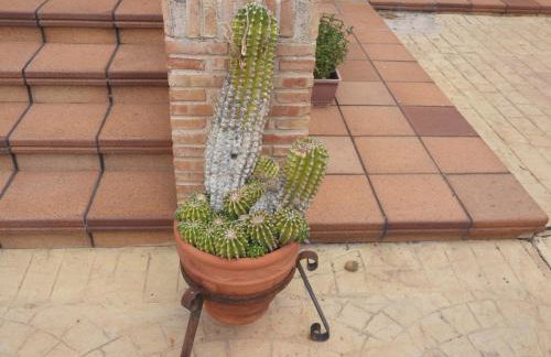 Agroturismo Casa Garcibáñez - Foto 50