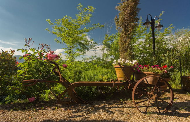 Holiday Home in Antique Gaville South of Florence - Foto 12