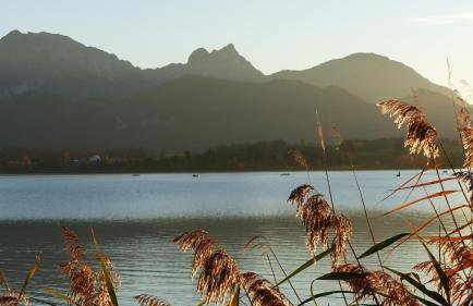 Ferienwohnung Allgäuer Landhaus Stocker in Hopferau-Füssen - Foto 48