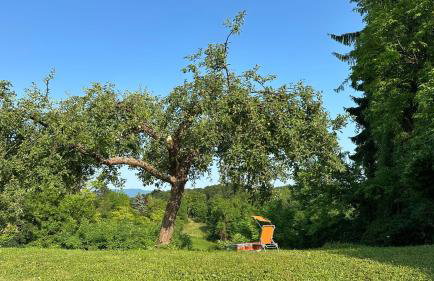 Apartman Perla - Foto 39