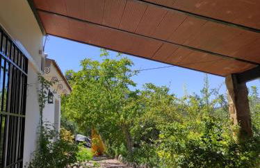 Puente Piedra - Foto 15