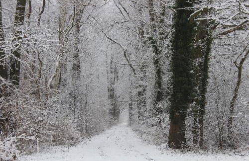 Fontanehof - Foto 41