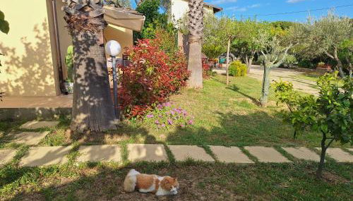 Casa Vacanze La Cuntintizza - Photo 5