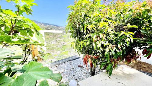 Mar a Vista by Your Madeira Rentals - Foto 2