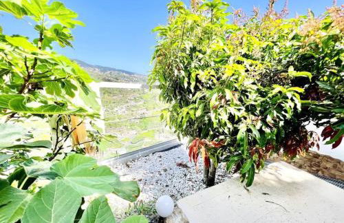 Mar a Vista by Your Madeira Rentals - Photo 2