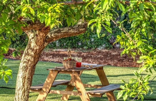 Trulli Cicale e Olive - Foto 53