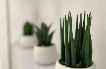 Appartement cosy proche Paris - Foto 6