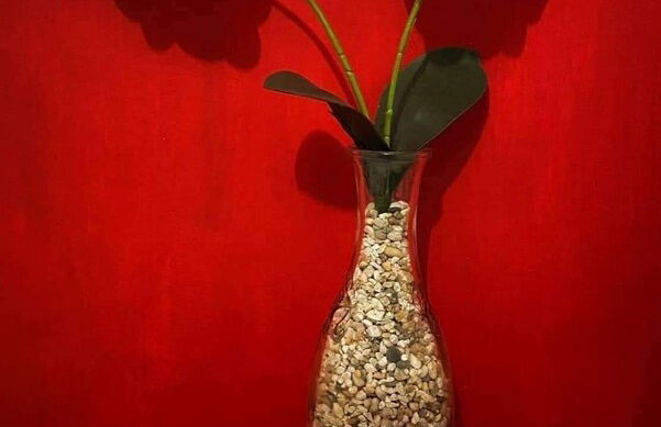 Abboud Staycation - Foto 2