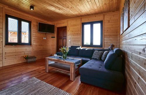 Domki całoroczne DŁUGOSZÓWKA pod Rzeszowem, Jacuzzi-Sauna-Basen-Alpaki - Foto 60