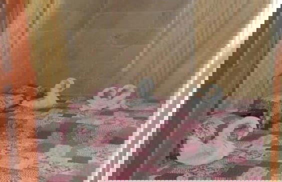 Casa Varsovia 2 Rooms - Oceanview Modern Apartment - Foto 15