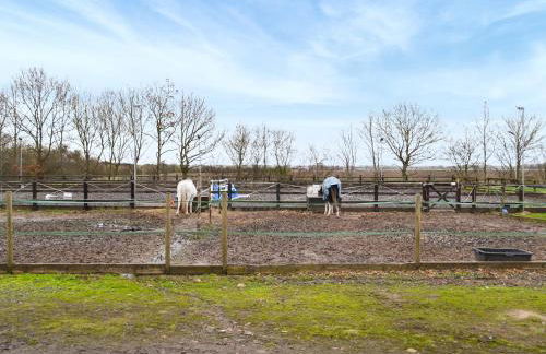 Swallow Lodge - Foto 12