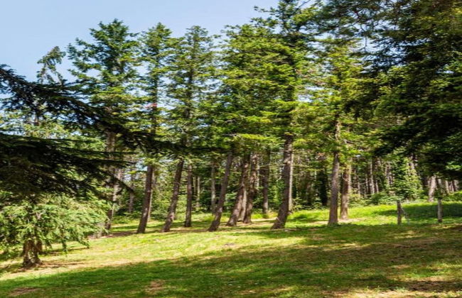 A Vineyard Apartment Retreat - Foto 40