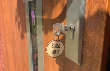 Czarny Koń i Biały Koń Black Horse & White Horse Apartamenty - Foto 49