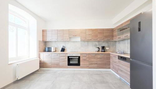 Tolstov Apartments - 2 Schlafzimmer - Sofa - Küche - Waschmaschine - 20 Min to Messe DUS - Foto 3, stove, dishwasher