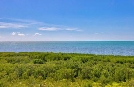 Ocean View Gem Ocean Pointe 3406 - Foto 36