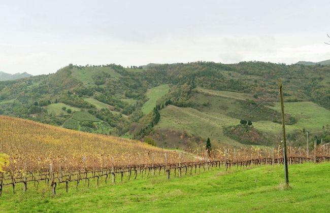 Belvilla by OYO Appartamento Yassine - Foto 32