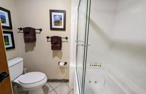 Spectacular Mountain Condo - Foto 18