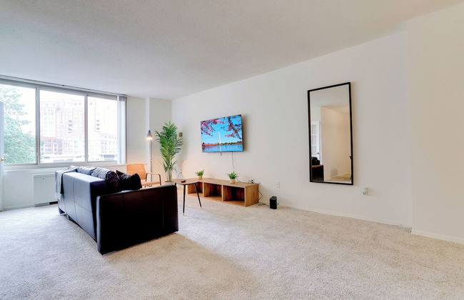 Comfortable Apt in Crystal City - Photo 16