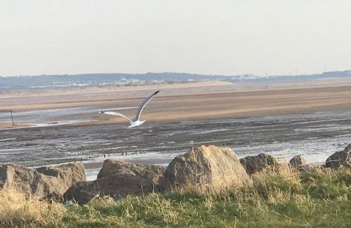 Combe-n-Sea - Foto 21